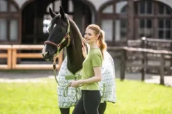 Outlet Licol Edinburgh - - Cuir qualité longue durée Licols Et Longes