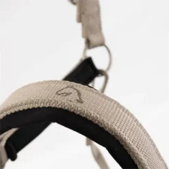 Licol Eevolv Idylle Licols Et Longes