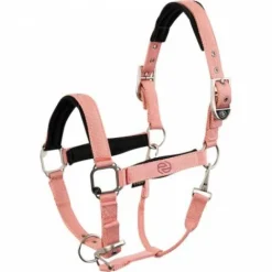 Licol Eevolv Idylle Licols Et Longes