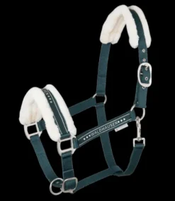 Licol Elegant Mouton Licols Et Longes