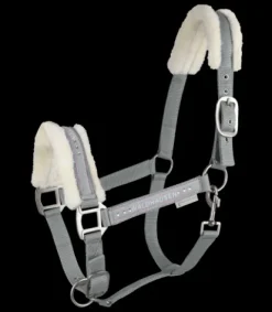 Licol Elegant Mouton Licols Et Longes