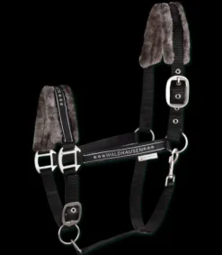 Licol Elegant Mouton Licols Et Longes