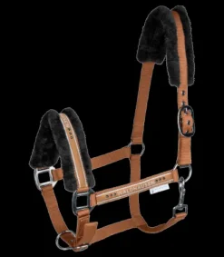 Licol Elegant Mouton Licols Et Longes