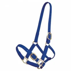 Licol en biothane Licols Et Longes