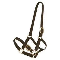 Licol en biothane Licols Et Longes