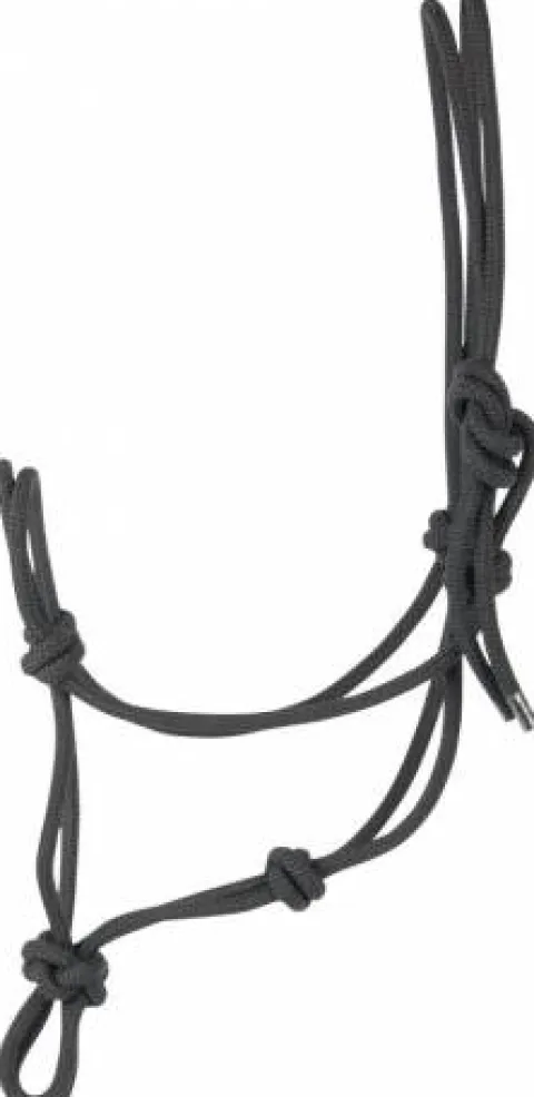 Hot Licol en corde - HARRY'S HORSE - Corde Licols Et Longes