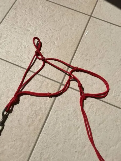 Sale Licol en corde rouge avec longe Licols Et Longes