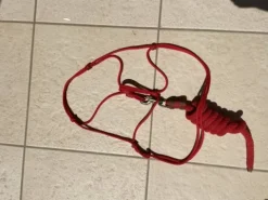 Sale Licol en corde rouge avec longe Licols Et Longes