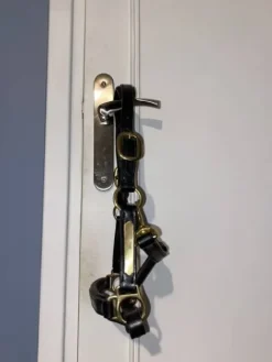 Discount licol en cuir Licols Et Longes