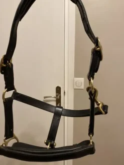 Discount licol en cuir Licols Et Longes