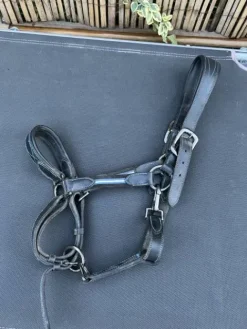 Sale Licol en cuir Licols Et Longes