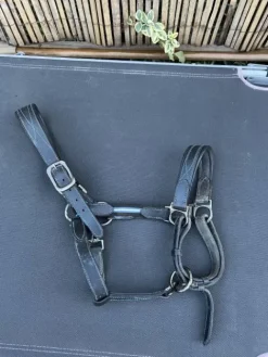 Sale Licol en cuir Licols Et Longes