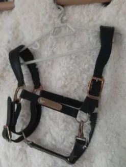 Licol en cuir Licols Et Longes