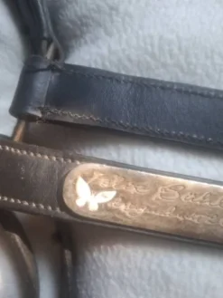 Licol en cuir Licols Et Longes