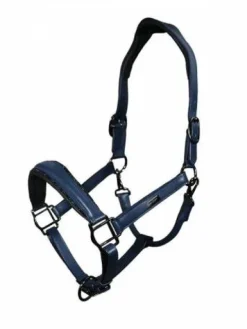 Best Licol en cuir Anatomique Glimmer Dark Venice - Licols Et Longes