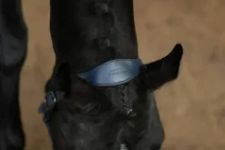 Best Licol en cuir Anatomique Glimmer Dark Venice - Licols Et Longes