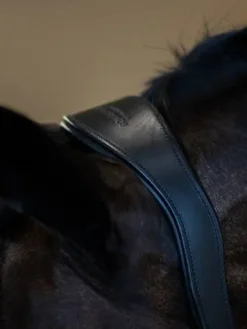 Sale Licol en cuir anatomique Black Edition - Licols Et Longes