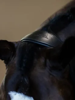 Sale Licol en cuir anatomique Black Edition - Licols Et Longes