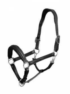 Sale Licol en cuir anatomique Black Edition - Licols Et Longes