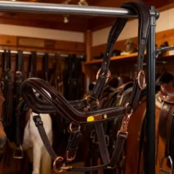 Hot Licol en cuir avec boucles dorées - Licols Et Longes