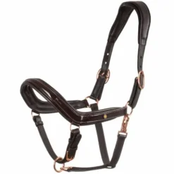 Hot Licol en cuir avec boucles dorées - Licols Et Longes