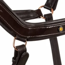 Hot Licol en cuir avec boucles dorées - Licols Et Longes