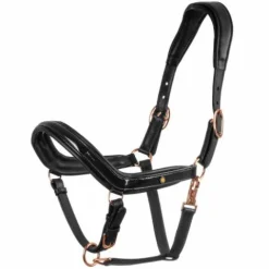 Hot Licol en cuir avec boucles dorées - Licols Et Longes