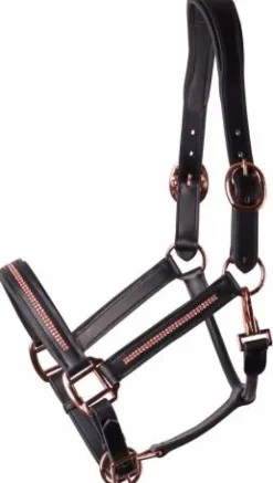 Outlet Licol en cuir avec strass - HARRY'S HORSE Licols Et Longes