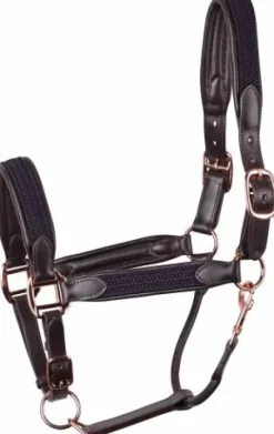 Clearance Licol en cuir Braided - Harry's Horse Licols Et Longes