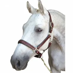 Sale Licol en cuir Denver - Lexington Licols Et Longes