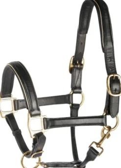 Licol en cuir doré ou argent - Harry's Horse Licols Et Longes