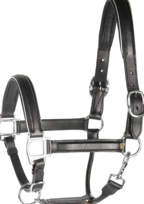 Licol en cuir doré ou argent - Harry's Horse Licols Et Longes