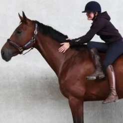 Clearance Licol en cuir et nylon Ralph - Licols Et Longes