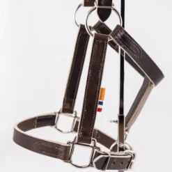 Outlet Licol en cuir gamme élevage - Licols Et Longes