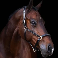 Outlet Licol en cuir Legacy - Licols Et Longes