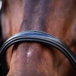 Outlet Licol en cuir Legacy - Licols Et Longes