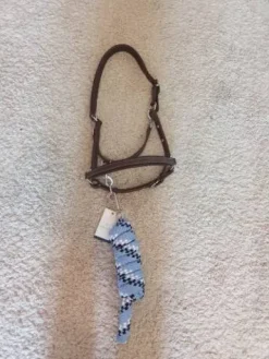 Discount Licol en cuir et longe equitheme Licols Et Longes