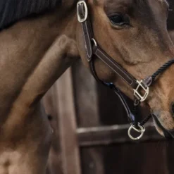 New Licol en cuir rope - Kentucky Licols Et Longes