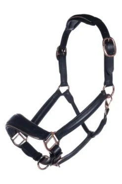 Sale Licol en cuir Rosegold Licols Et Longes