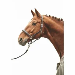 Hot Licol en cuir Simple Licols Et Longes