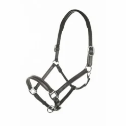 Hot Licol en cuir Simple Licols Et Longes