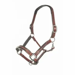 Sale Licol en cuir Soft - - Cuir vachette, rembourré Licols Et Longes