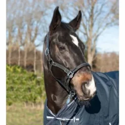 Sale Licol en cuir Soft - - Cuir vachette, rembourré Licols Et Longes