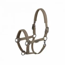 New Licol en cuir synthétique platinum 25 - Licols Et Longes