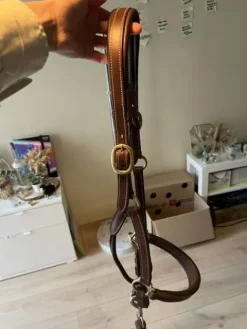 Clearance Licol en cuire Licols Et Longes