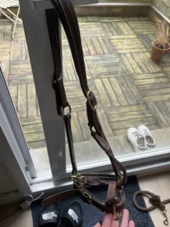 Clearance Licol en cuire Licols Et Longes