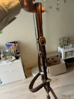 Clearance Licol en cuire Licols Et Longes