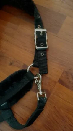 Sale Licol en moumoute Licols Et Longes