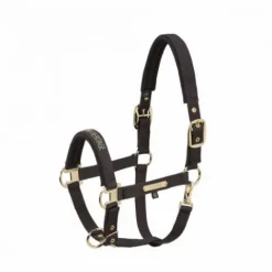 Hot Licol en nylon Heritage 25/26 - - Doublé néoprène Licols Et Longes