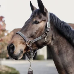 Licol en nylon tressé - Kentucky Licols Et Longes